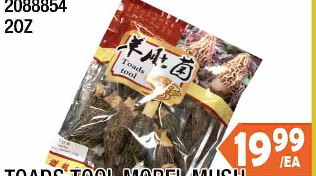 TOADS TOOL MOREL MUSHROOM(MORCHELLA) 2OZ TOADS TOOL羊肚菌 $19.99/EA