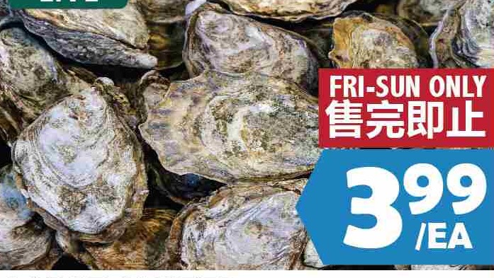 LIVE LARGE OYSTER 特大生蠔 $3.99/EA