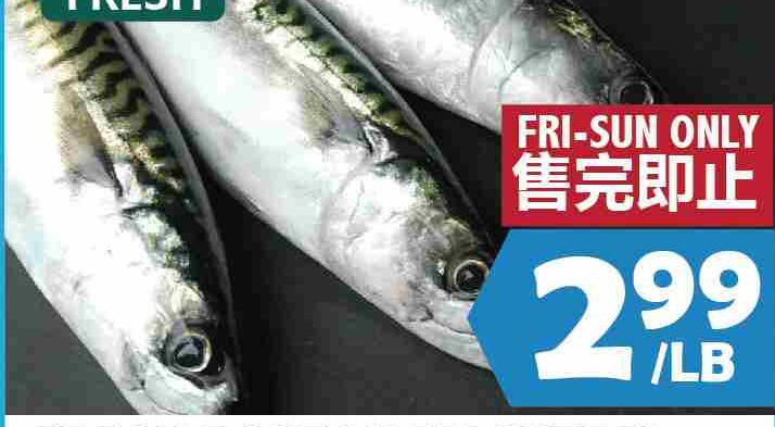 FRESH BOSTON MACKEREL 新鮮花椒魚 $2.99/LB