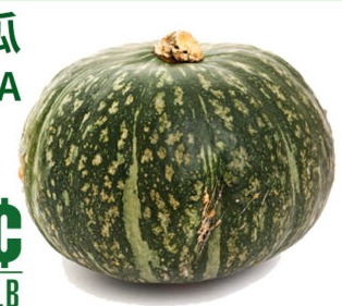 日本南瓜 KABOCHA