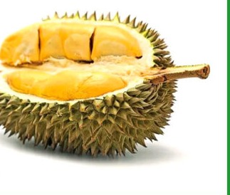 榴槤 DURIAN