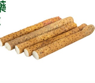 鐵棍山藥 CHINESE YAM TIEGUN