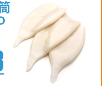 U5尤魚筒 U5 SQUID TUBE
