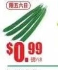 勝瓜 SPONGE GOURD