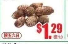 火龍果 DRAGON FRUIT