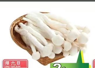 白玉菇 Baby Oyster Mushroom