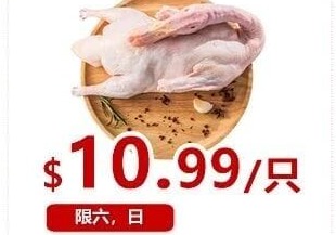 新鲜水鸭 FRESH WHOLE DUCK
