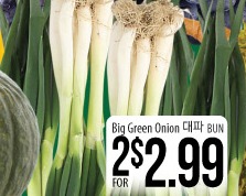 Big Green Onion