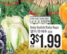 Baby Radish/Baby Napa