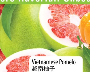 越南柚子