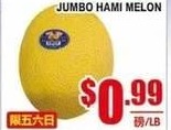 特大哈密瓜
