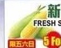 本周特价|瓯江超级市场 (布鲁克林) 新鲜玉米$0.60起 共31项