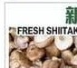 新鲜花菇 FRESH SHIITAKE MUSHROOM