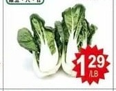 MILK BOK CHOY 奶油菜