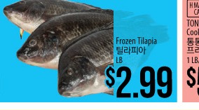 Frozen Tilapia