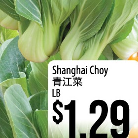 Shanghai Choy (Bok Choy)