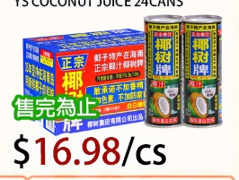 椰树牌椰汁24罐装 YS Coconut Juice 24Cans