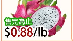 Dragon Fruit White Flesh