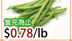 四季豆 String Bean