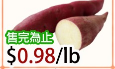 日本番薯 Japanese Yam