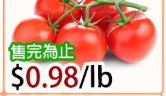 串番茄 Stem Tomato