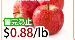 有机卡拉苹果 Organic Gala Apple