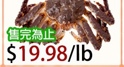 帝王蟹 King Crab 2~3LBS