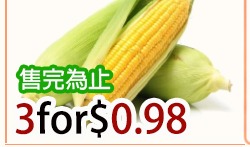 LOOSE CORN 玉米