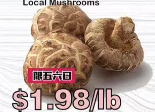 本周特价|华联市场 (法拉盛 Northern Blvd) 青椒$0.98起 共20项