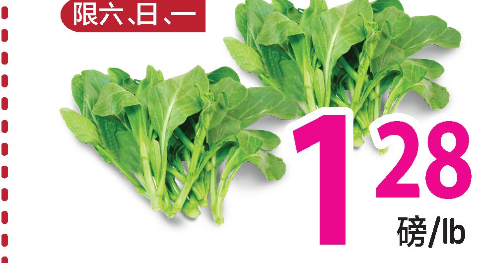 油菜苗