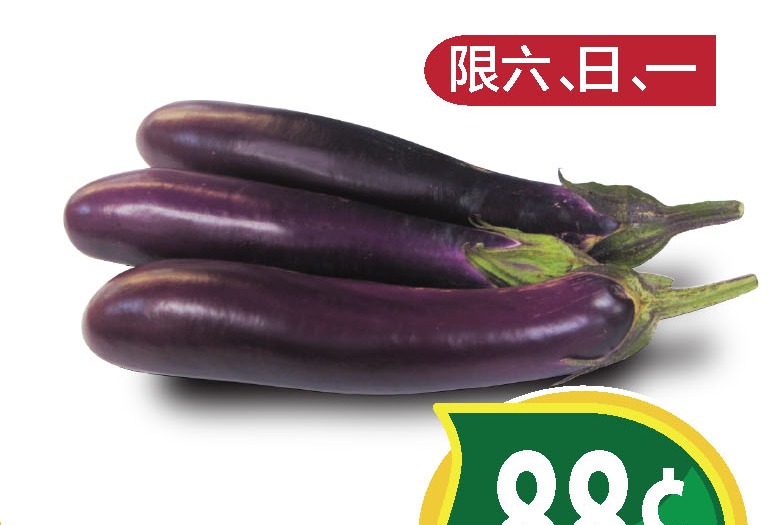 中国茄子