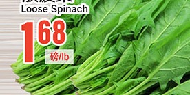 散菠菜