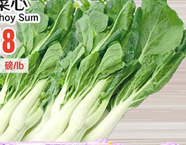 白菜心 Bokchoy Sum