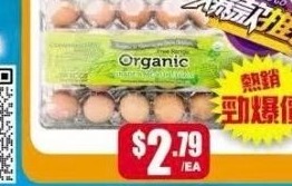 24粒有機黃雞蛋 ORGANIC YELLOW EGGS