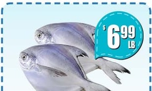 白鯧魚 SILVER POMFRET