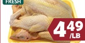 ROCK CHICKEN 三黃走地雞