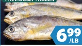 YELLOW CROAKER 大黃花魚