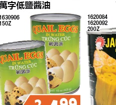 SUNVOI QUAIL EGG IN WATER 象陽鵪鶉蛋