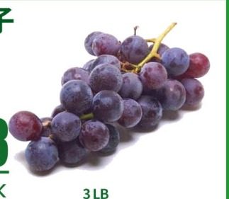 KYOHO GRAPE 巨峰提子