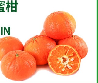 ORRI MANDARIN 以色列蜜柑