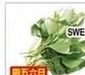 本周特价|瓯江超级市场 (布鲁克林) 玉米$0.50起 共28项