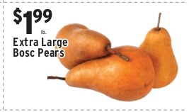 Extra Large Bosc Pears