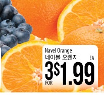 Navel Orange