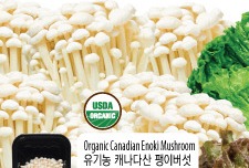 Organic Canadian Enoki Mushroom