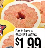 Florida Pomelo