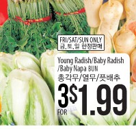 Young Radish/Baby Radish/Baby Napa