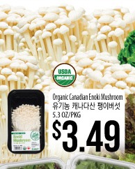 Organic Canadian Enoki Mushroom