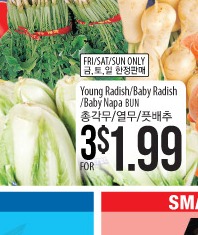 Young Radish/Baby Radish/Baby Napa
