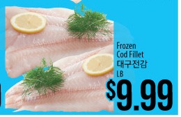 Frozen Cod Fillet
