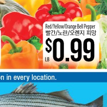 Red/Yellow/Orange Bell Pepper
